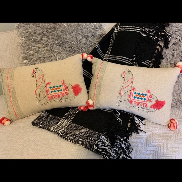 2 throw pillows - Picture 1 of 1